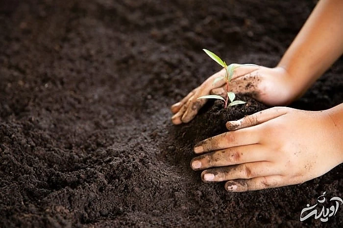 روش های اصلاح خاک بهبود کیفیت خاک